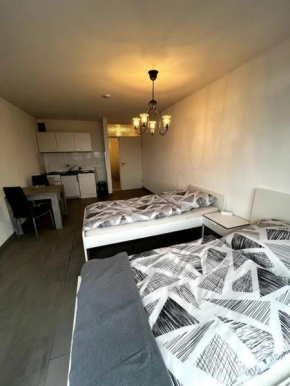 Gemütliches Appartement-Zentral